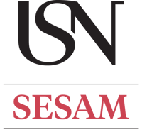 LOGO USN